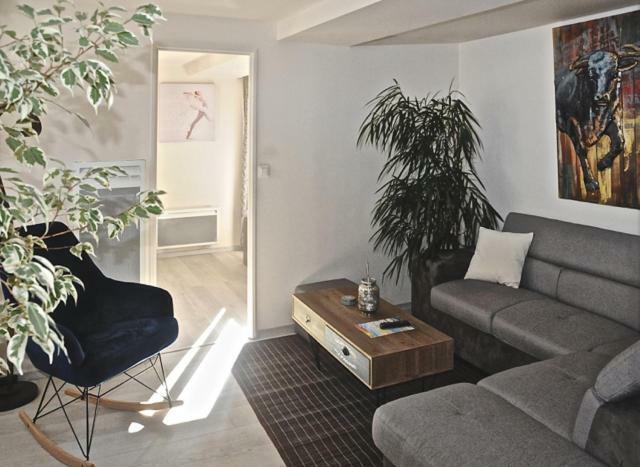 Gite, Location Meuble De Tourisme 3 Etoiles Châtillon-Coligny Екстериор снимка